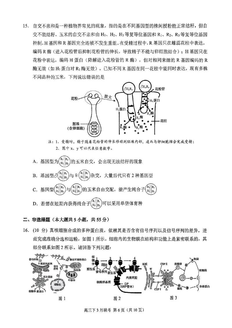 西附、育才、鲁巴高三3月联考生物_2025年3月_250317重庆市高2025届拔尖强基联盟高三（下）3月联合诊断性考试（全科）