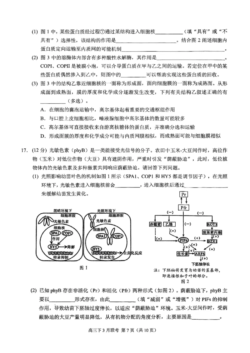 西附、育才、鲁巴高三3月联考生物_2025年3月_250317重庆市高2025届拔尖强基联盟高三（下）3月联合诊断性考试（全科）