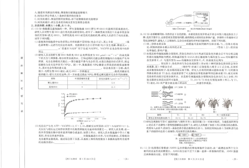生物江西省2025届全国&ldquo;优创名校&rdquo;高三金太阳4月联考(25-489C)_2025年4月_250413江西省2025届全国金太阳&ldquo;优创名校&rdquo;高三4月联考(25-489C)（全科）