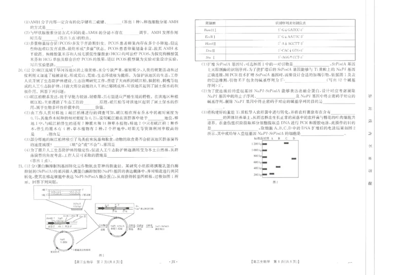 生物江西省2025届全国&ldquo;优创名校&rdquo;高三金太阳4月联考(25-489C)_2025年4月_250413江西省2025届全国金太阳&ldquo;优创名校&rdquo;高三4月联考(25-489C)（全科）