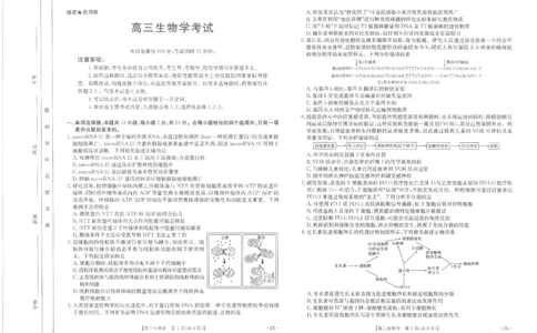 生物江西省2025届全国&ldquo;优创名校&rdquo;高三金太阳4月联考(25-489C)_2025年4月_250413江西省2025届全国金太阳&ldquo;优创名校&rdquo;高三4月联考(25-489C)（全科）