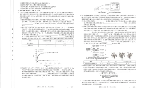 生物江西省2025届全国&ldquo;优创名校&rdquo;高三金太阳4月联考(25-489C)_2025年4月_250413江西省2025届全国金太阳&ldquo;优创名校&rdquo;高三4月联考(25-489C)（全科）