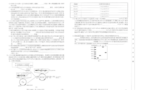 生物江西省2025届全国&ldquo;优创名校&rdquo;高三金太阳4月联考(25-489C)_2025年4月_250413江西省2025届全国金太阳&ldquo;优创名校&rdquo;高三4月联考(25-489C)（全科）