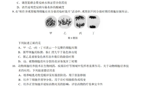 生物卷-2503温州高三二模_2025年3月_250323浙江省温州市2025届高三下学3月二模（全科）_浙江省温州市2025届高三下学3月二模试题生物
