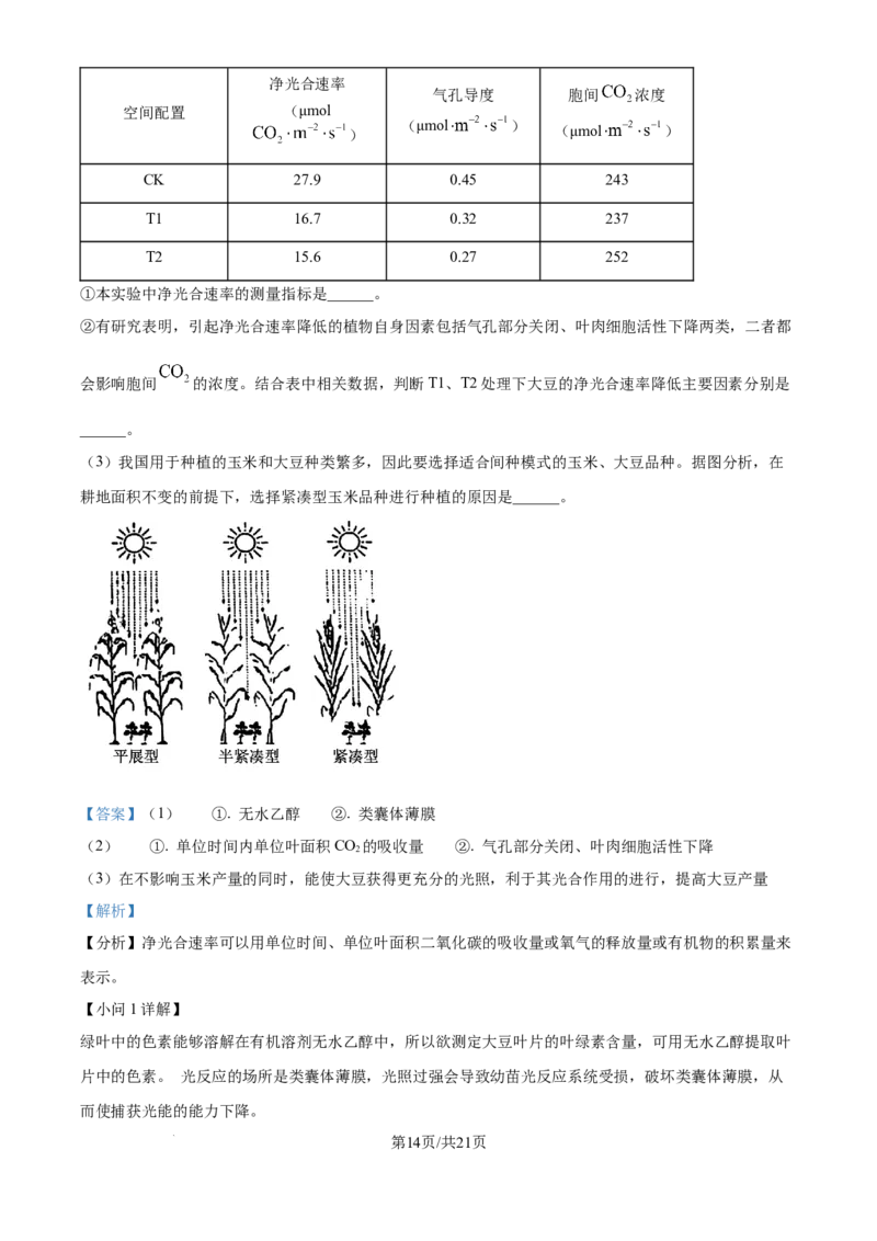 精品解析：山西省山大附中2025-2026学年高三上学期9月月考生物试题（解析版）_2025年9月