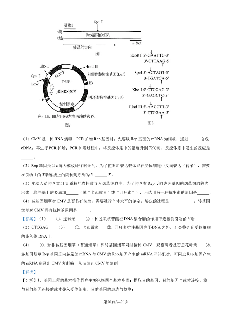 精品解析：山西省山大附中2025-2026学年高三上学期9月月考生物试题（解析版）_2025年9月