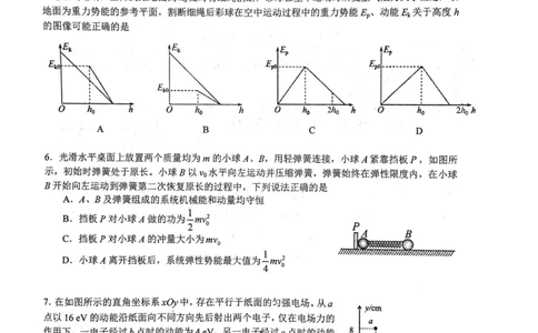 华师一附中五月适应性检测物理_2025年5月_250531湖北省武汉市华中师范大学第一附属中学2025届高三下学期五月适应性检测（全科）