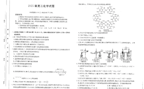 四川省金太阳2025届高三2月开学考试化学试卷+答案_2025年2月_250220四川省金太阳2025届高三2月开学考试（319C）（全科）