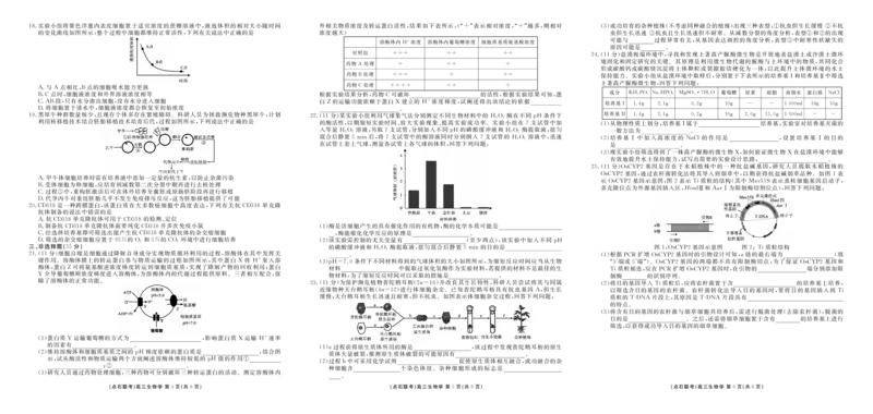 点石联考2025-2026学年度上学期高三年级9月份联合考试生物（B版）_2025年9月_250907点石联考2025-2026学年度上学期高三年级9月份联合考试（全科）