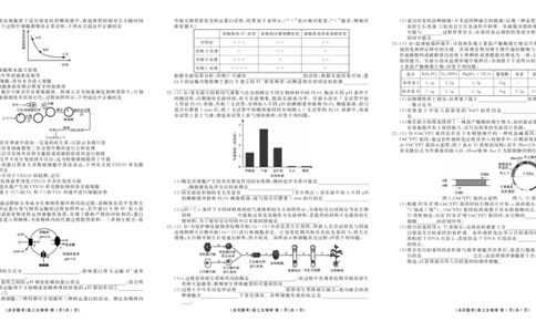 点石联考2025-2026学年度上学期高三年级9月份联合考试生物（B版）_2025年9月_250907点石联考2025-2026学年度上学期高三年级9月份联合考试（全科）