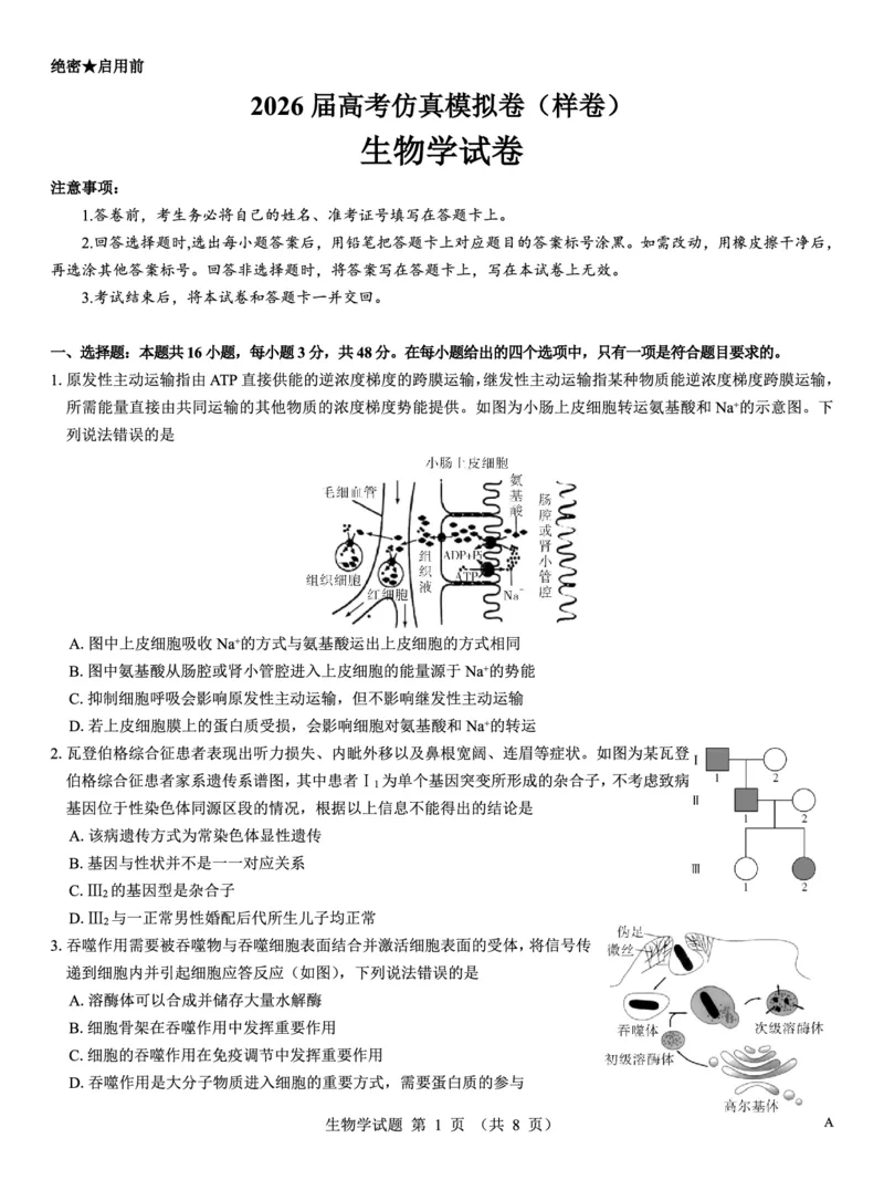 名校教研联盟2026届高考仿真模拟卷（样卷）生物_2025年10月_251029名校教研联盟2026届高考仿真模拟卷（样卷）（全科）