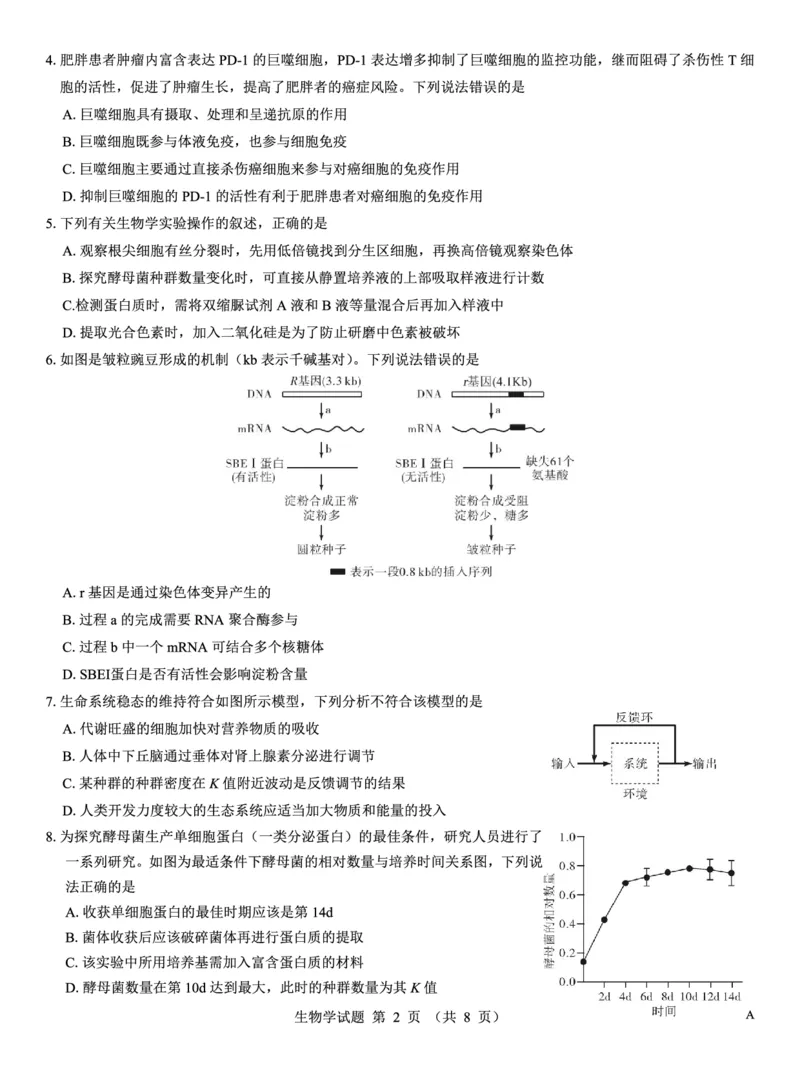 名校教研联盟2026届高考仿真模拟卷（样卷）生物_2025年10月_251029名校教研联盟2026届高考仿真模拟卷（样卷）（全科）