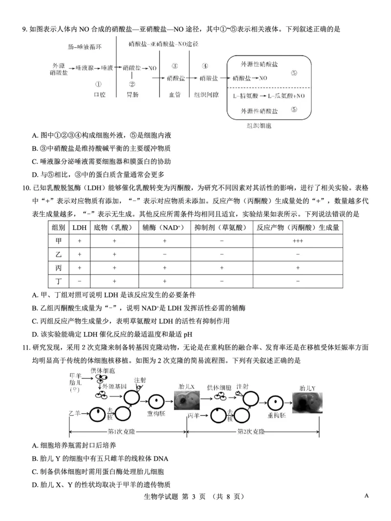 名校教研联盟2026届高考仿真模拟卷（样卷）生物_2025年10月_251029名校教研联盟2026届高考仿真模拟卷（样卷）（全科）