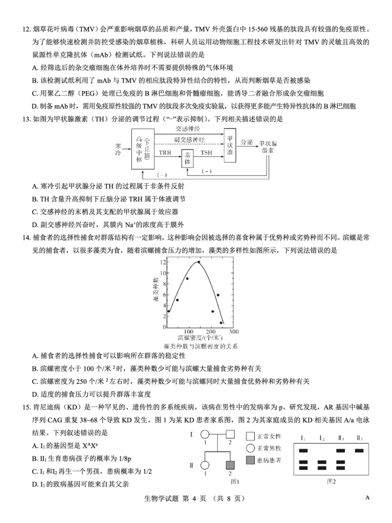 名校教研联盟2026届高考仿真模拟卷（样卷）生物_2025年10月_251029名校教研联盟2026届高考仿真模拟卷（样卷）（全科）