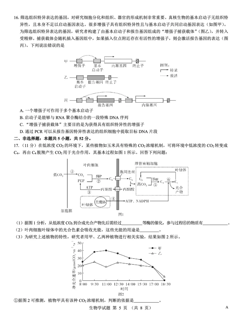 名校教研联盟2026届高考仿真模拟卷（样卷）生物_2025年10月_251029名校教研联盟2026届高考仿真模拟卷（样卷）（全科）