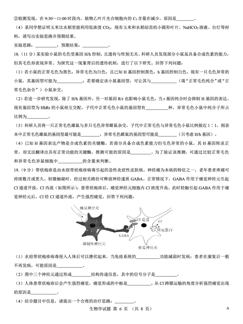 名校教研联盟2026届高考仿真模拟卷（样卷）生物_2025年10月_251029名校教研联盟2026届高考仿真模拟卷（样卷）（全科）