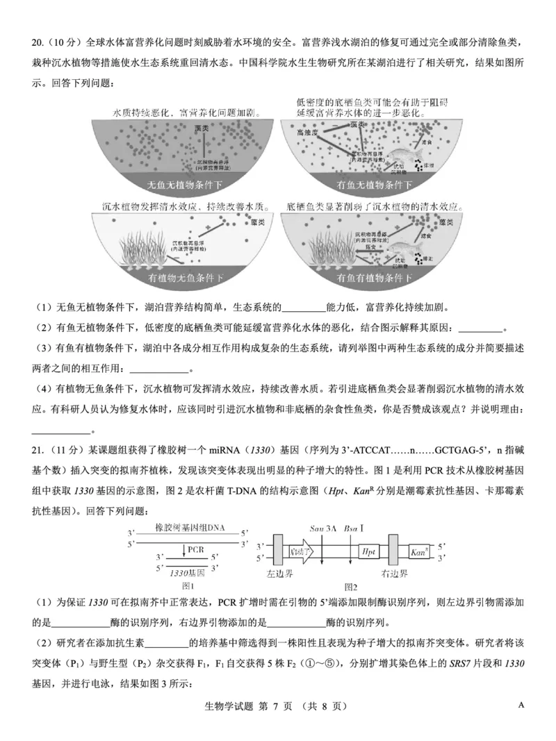 名校教研联盟2026届高考仿真模拟卷（样卷）生物_2025年10月_251029名校教研联盟2026届高考仿真模拟卷（样卷）（全科）