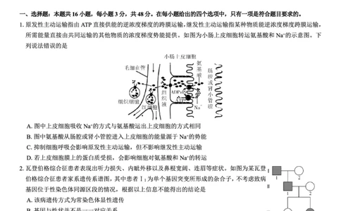名校教研联盟2026届高考仿真模拟卷（样卷）生物_2025年10月_251029名校教研联盟2026届高考仿真模拟卷（样卷）（全科）
