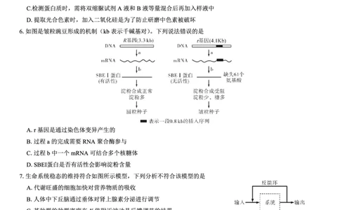 名校教研联盟2026届高考仿真模拟卷（样卷）生物_2025年10月_251029名校教研联盟2026届高考仿真模拟卷（样卷）（全科）