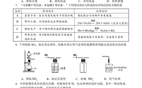 惠州市2025届高三第三次调研考试化学试题(2)_2025年1月_250116广东省惠州市2025届高三第三次调研考试（惠州三调）_广东省惠州市2025届高三第三次调研考试（惠州三调）化学