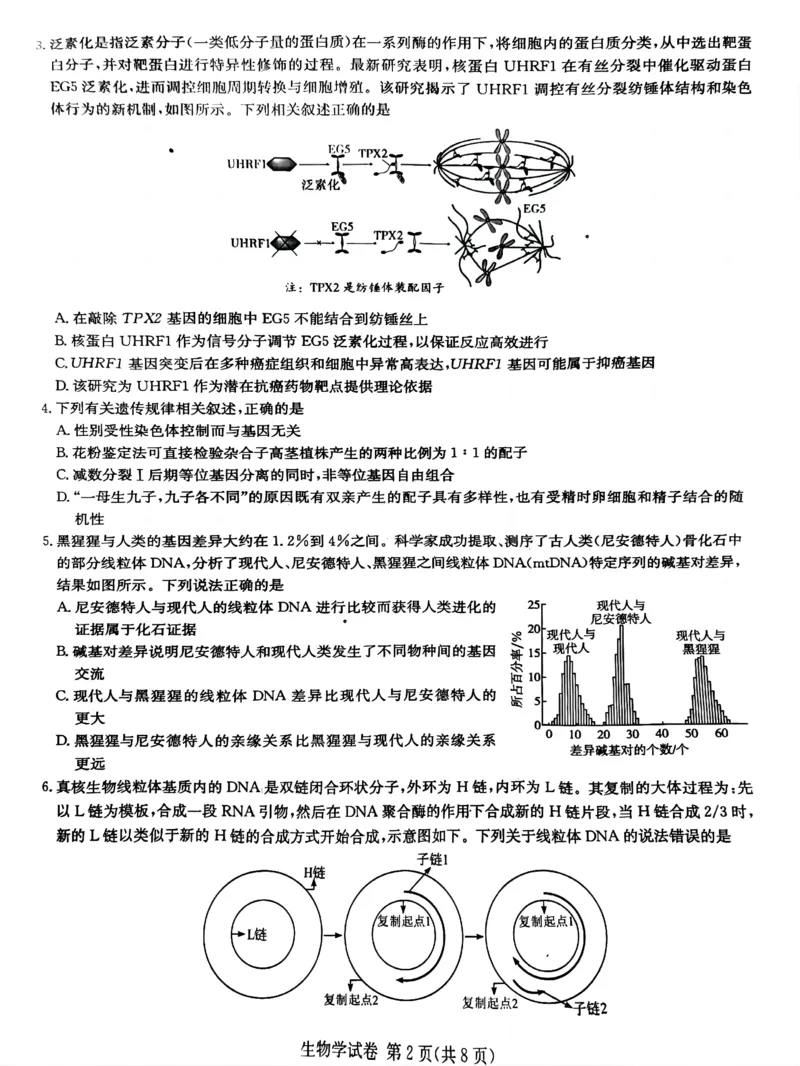 湖南新高考教学教研联盟暨长郡二十校联盟2025届高三年级第二次联考生物_2025年4月_250408湖南新高考教学教研联盟暨长郡二十校联盟2025届高三年级第二次联考（全科）
