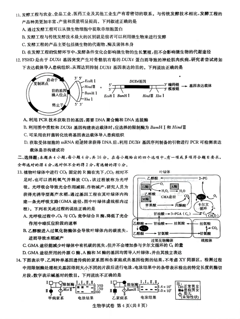 湖南新高考教学教研联盟暨长郡二十校联盟2025届高三年级第二次联考生物_2025年4月_250408湖南新高考教学教研联盟暨长郡二十校联盟2025届高三年级第二次联考（全科）