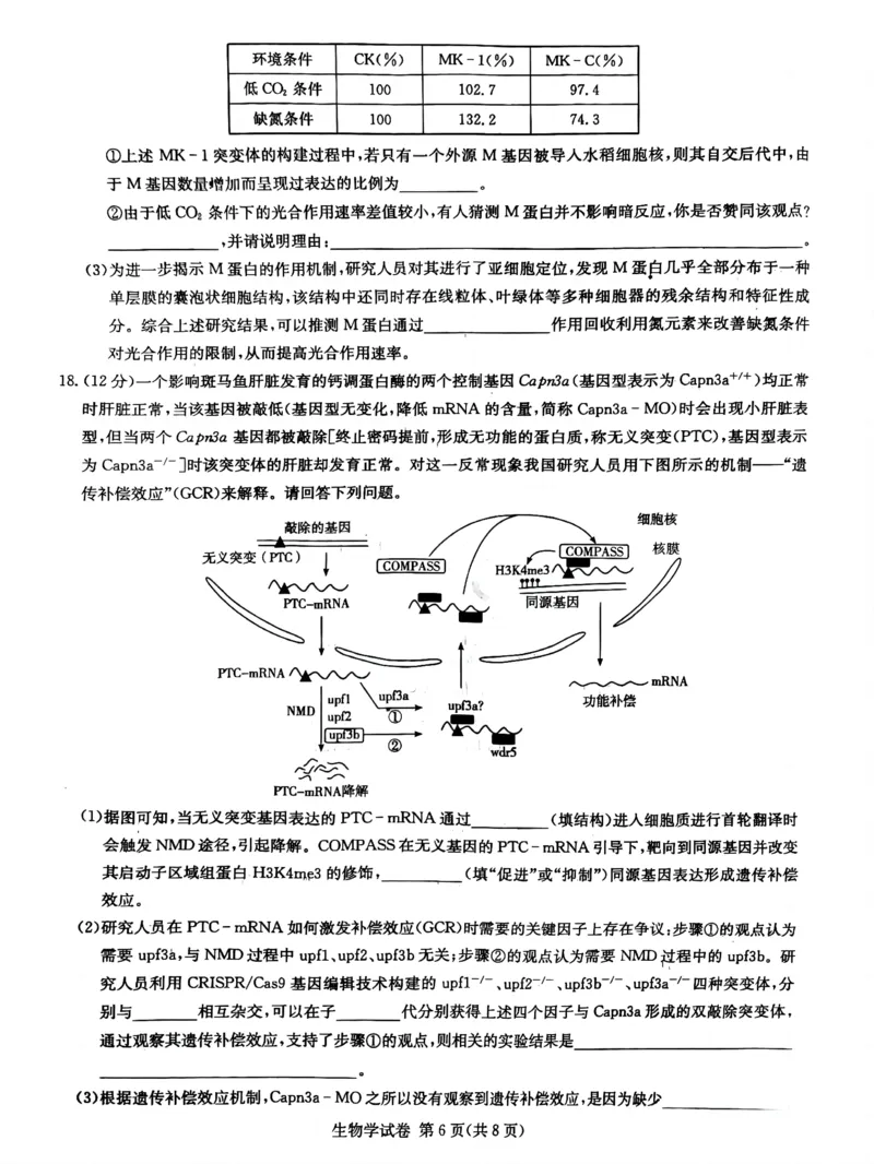 湖南新高考教学教研联盟暨长郡二十校联盟2025届高三年级第二次联考生物_2025年4月_250408湖南新高考教学教研联盟暨长郡二十校联盟2025届高三年级第二次联考（全科）