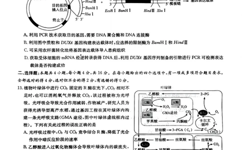 湖南新高考教学教研联盟暨长郡二十校联盟2025届高三年级第二次联考生物_2025年4月_250408湖南新高考教学教研联盟暨长郡二十校联盟2025届高三年级第二次联考（全科）