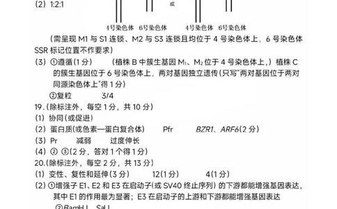 福建省龙岩市2025年高中毕业班五月教学质量检测生物答案_2025年5月_250510福建省龙岩市2025年高中毕业班五月教学质量检测（全科）