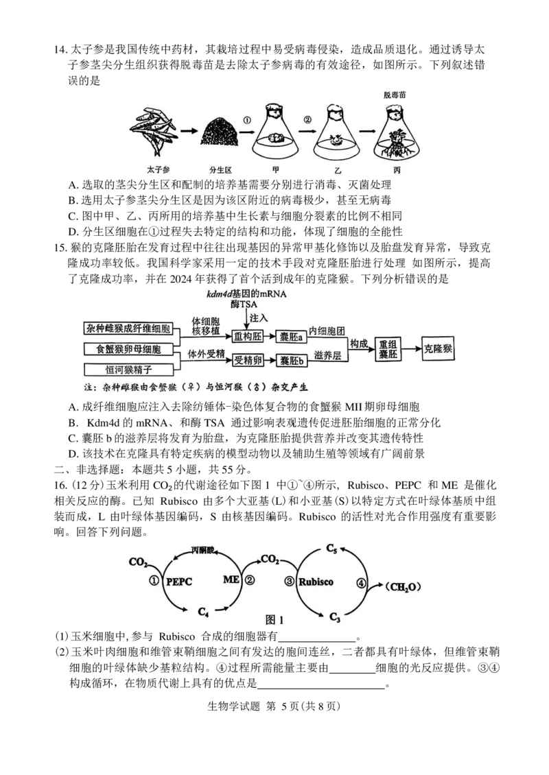 安徽省合肥市2025届高三第一次教学质量检测生物试卷（含答案）_2025年1月_250119安徽省合肥市2025届高三第一次教学质量检测（全科）