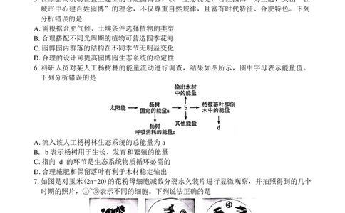 安徽省合肥市2025届高三第一次教学质量检测生物试卷（含答案）_2025年1月_250119安徽省合肥市2025届高三第一次教学质量检测（全科）