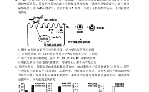 安徽省合肥市2025届高三第一次教学质量检测生物试卷（含答案）_2025年1月_250119安徽省合肥市2025届高三第一次教学质量检测（全科）