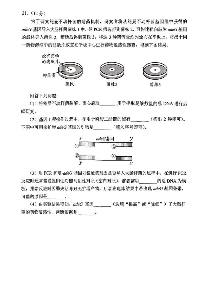 贵州省考试院2025年4月高三年级适应性考试生物_2025年4月_250410贵州2025年4月高三年级适应性考试（全科）_贵州2025年4月高三年级适应性考试生物