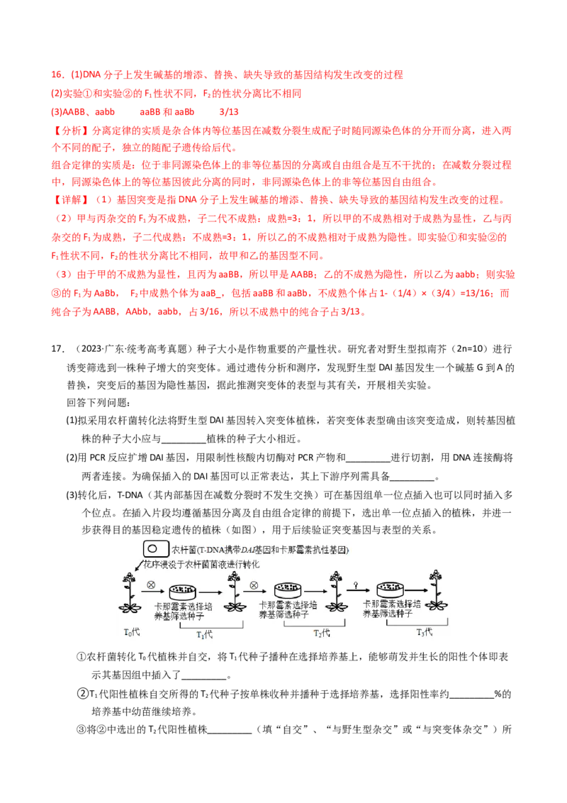 专题07孟德尔两大遗传定律（解析卷）_近10年高考真题汇编（必刷）_十年（2014-2024）高考生物真题分项汇编（全国通用）_2023年高考真题和模拟题生物分项汇编（全国通用）