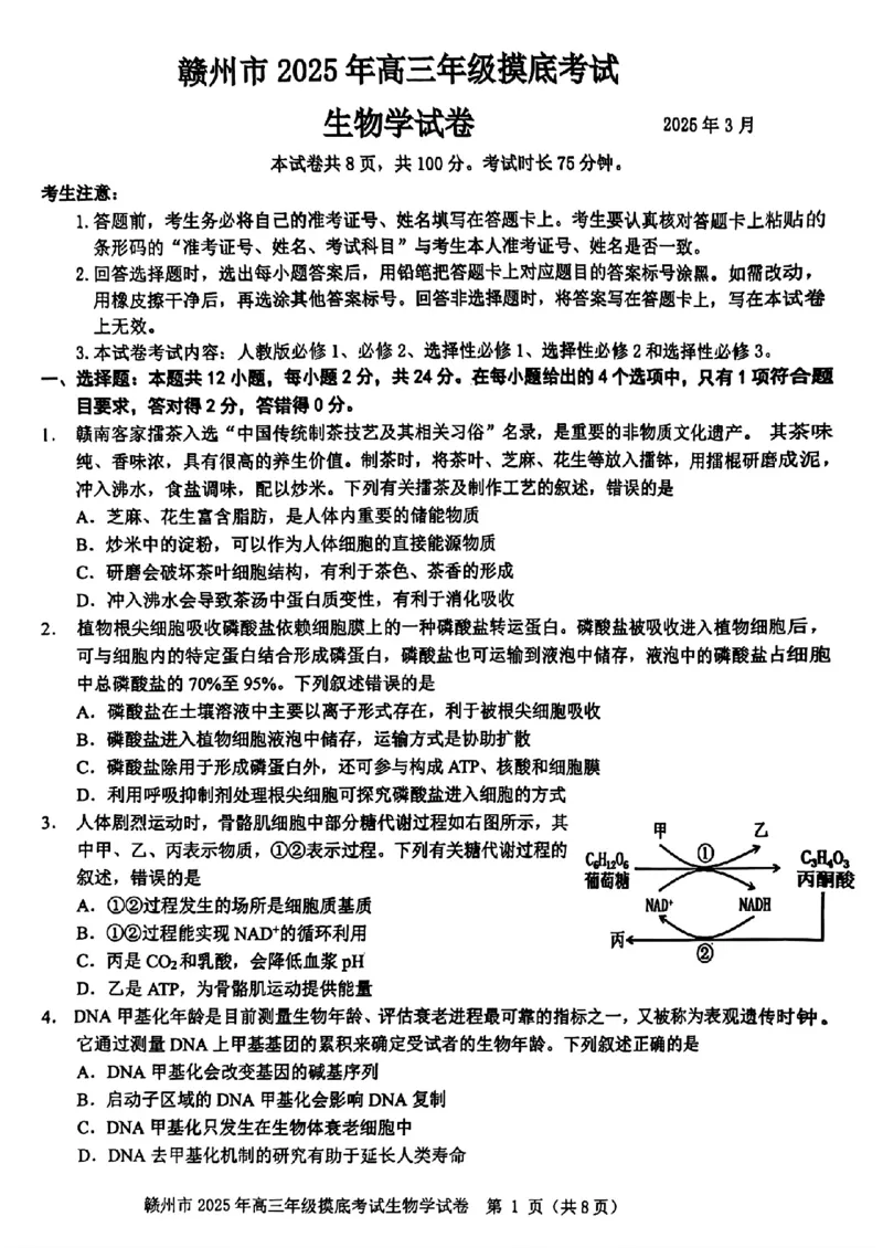 江西省赣州市2025年高三年级3月摸底考试生物_2025年3月_250311江西省赣州市2025届高三下学期3月一模考试（全科）_2025届江西省赣州市高三下学期一模生物