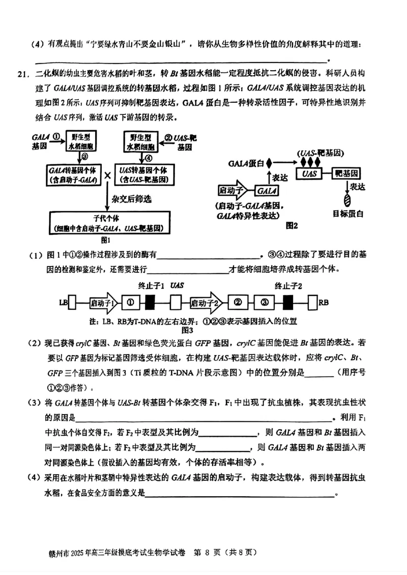 江西省赣州市2025年高三年级3月摸底考试生物_2025年3月_250311江西省赣州市2025届高三下学期3月一模考试（全科）_2025届江西省赣州市高三下学期一模生物