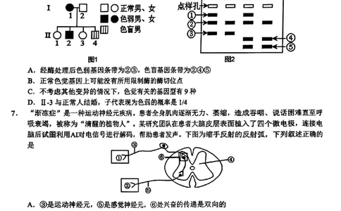 江西省赣州市2025年高三年级3月摸底考试生物_2025年3月_250311江西省赣州市2025届高三下学期3月一模考试（全科）_2025届江西省赣州市高三下学期一模生物