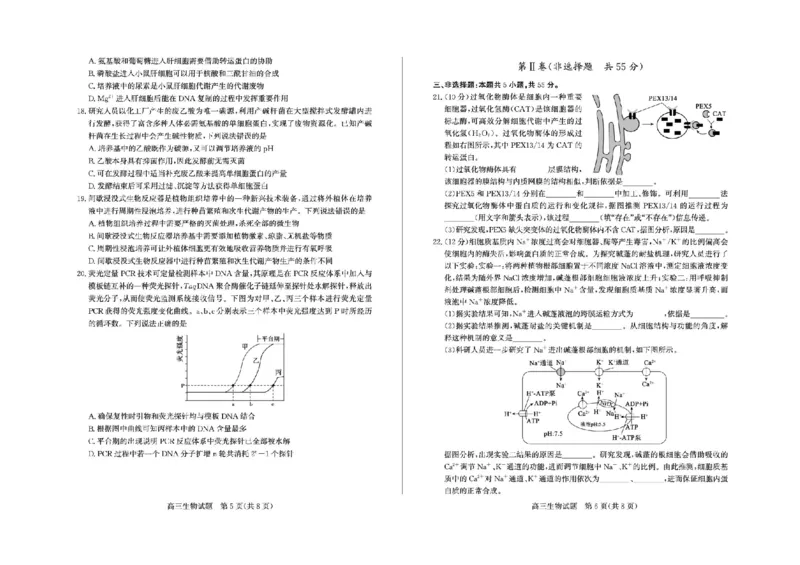 山东省德州市2025-2026学年高三上学期开学考生物试题（含答案）_2025年9月_250902山东省德州市2025-2026学年高三上学期开学考试（全科）