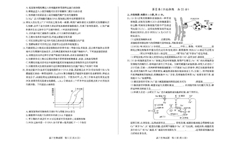 山东省德州市2025-2026学年高三上学期开学考生物试题（含答案）_2025年9月_250902山东省德州市2025-2026学年高三上学期开学考试（全科）