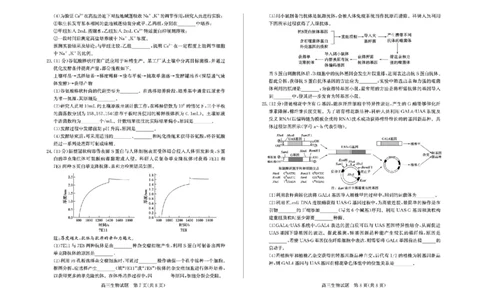 山东省德州市2025-2026学年高三上学期开学考生物试题（含答案）_2025年9月_250902山东省德州市2025-2026学年高三上学期开学考试（全科）