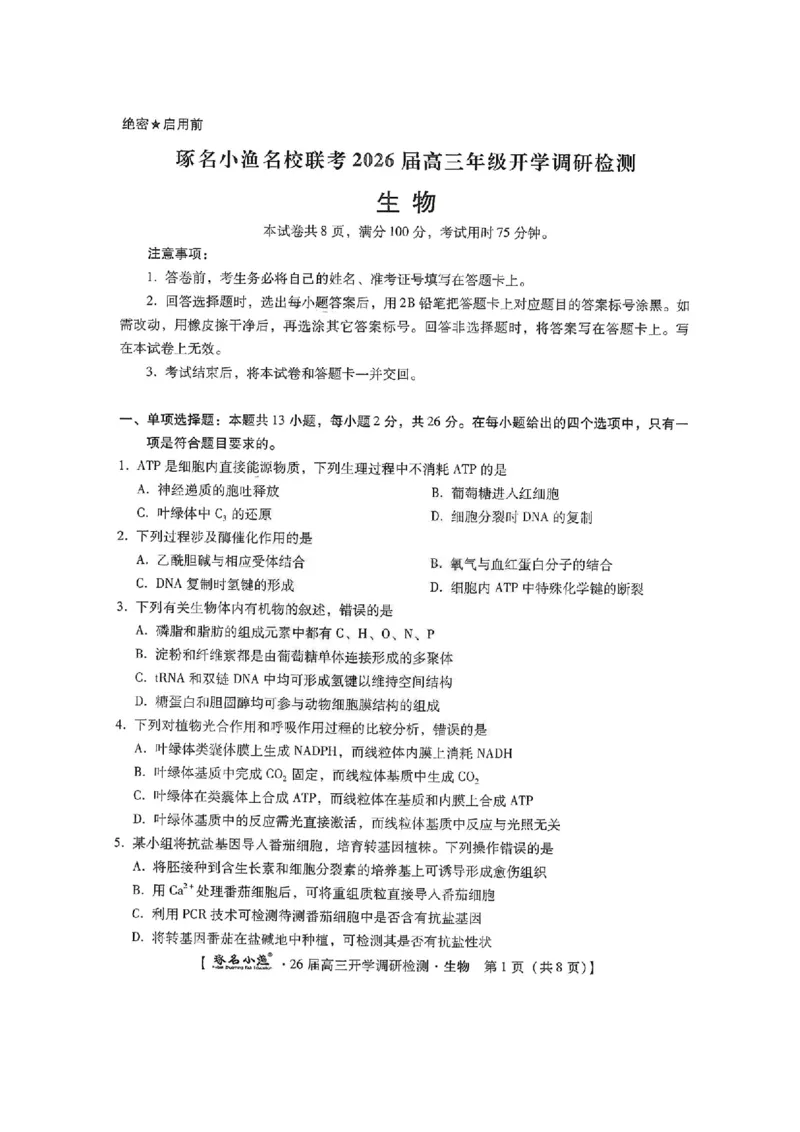 河北省琢名小渔名校联考2025-2026学年高三上学期开学调研检测生物试题（含答案）_2025年9月_250903河北省琢名小渔名校联考2025-2026学年高三上学期开学调研检测（全科）