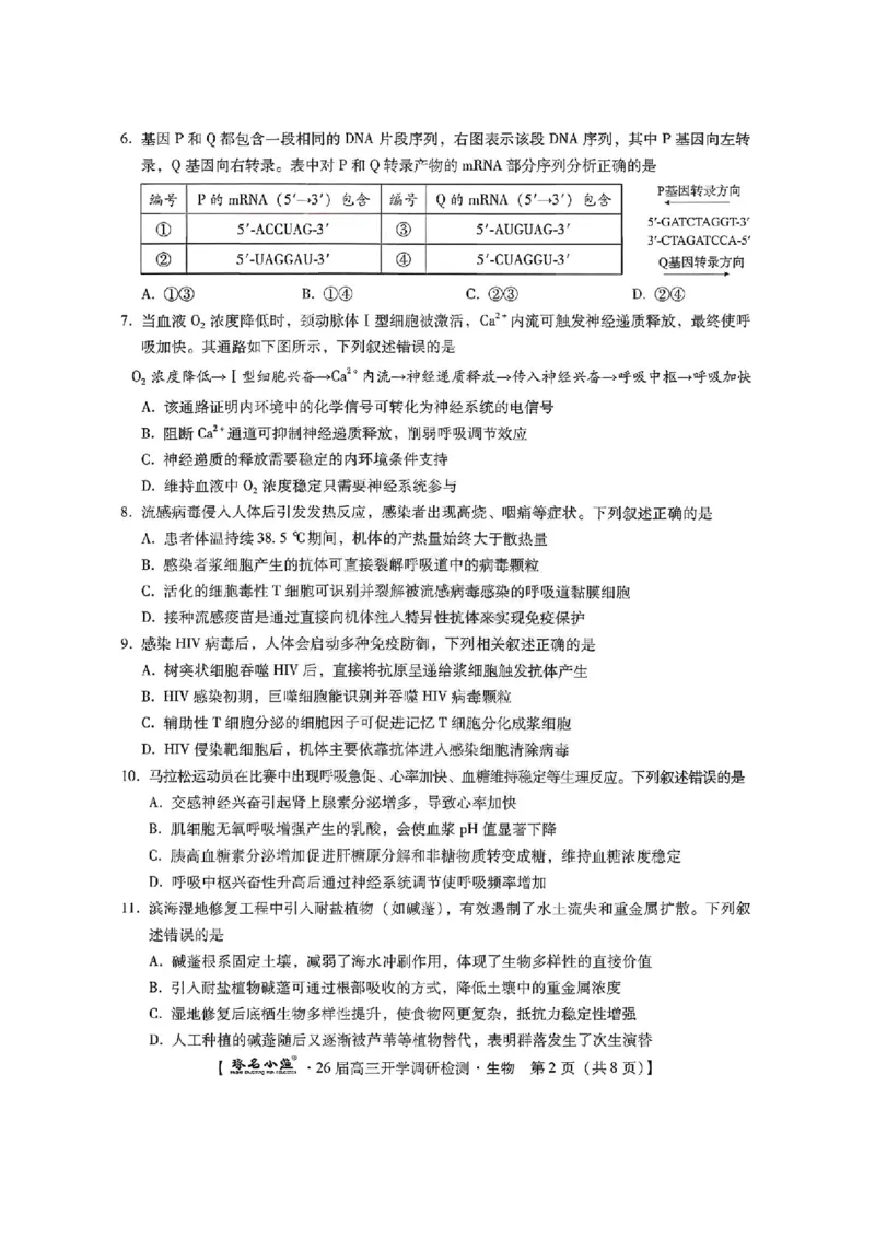 河北省琢名小渔名校联考2025-2026学年高三上学期开学调研检测生物试题（含答案）_2025年9月_250903河北省琢名小渔名校联考2025-2026学年高三上学期开学调研检测（全科）