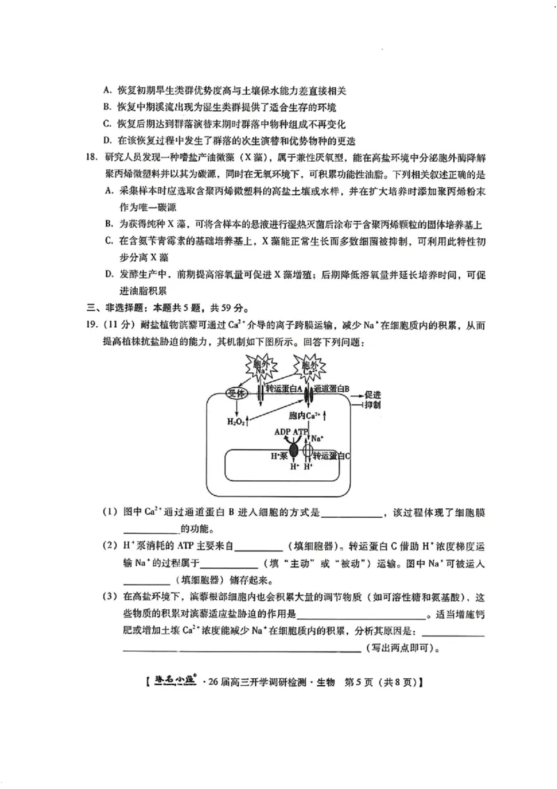 河北省琢名小渔名校联考2025-2026学年高三上学期开学调研检测生物试题（含答案）_2025年9月_250903河北省琢名小渔名校联考2025-2026学年高三上学期开学调研检测（全科）