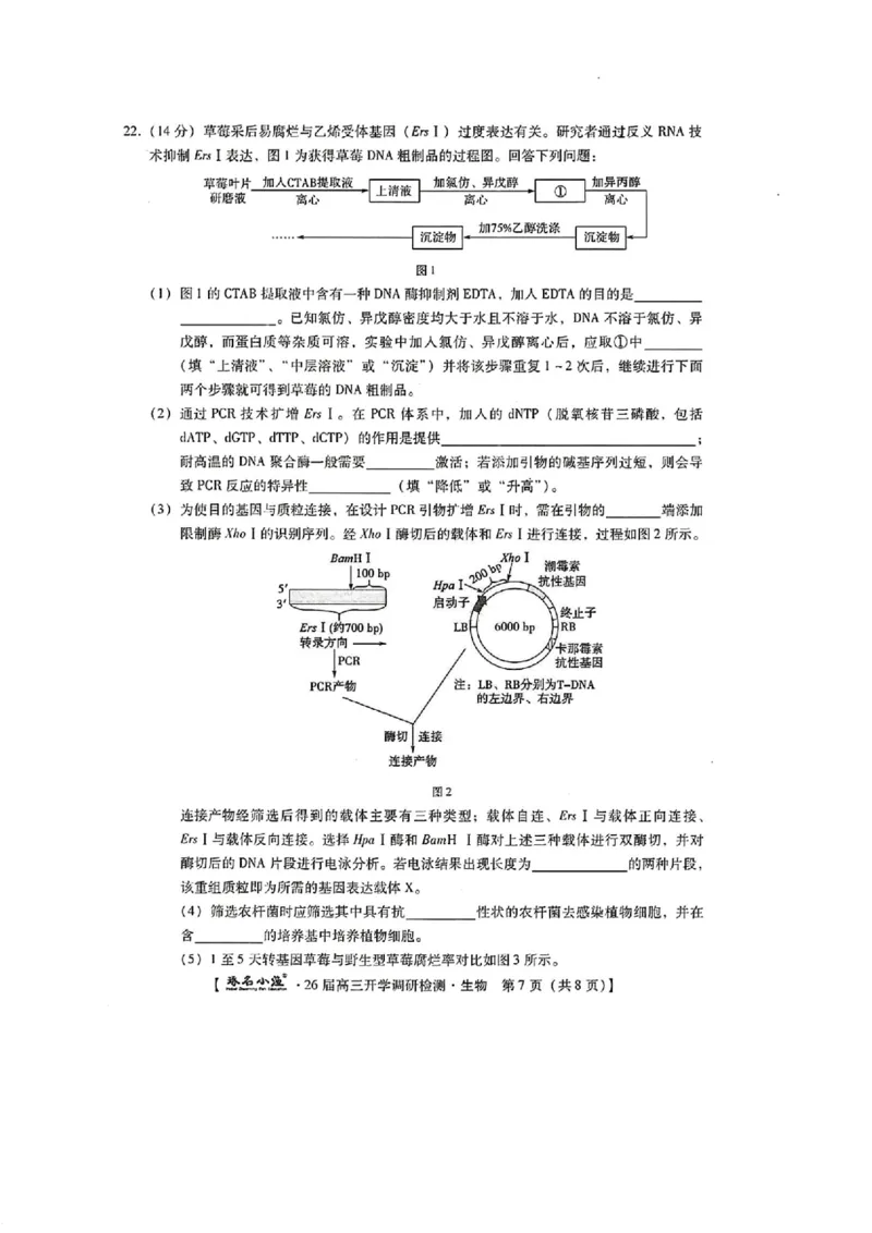 河北省琢名小渔名校联考2025-2026学年高三上学期开学调研检测生物试题（含答案）_2025年9月_250903河北省琢名小渔名校联考2025-2026学年高三上学期开学调研检测（全科）