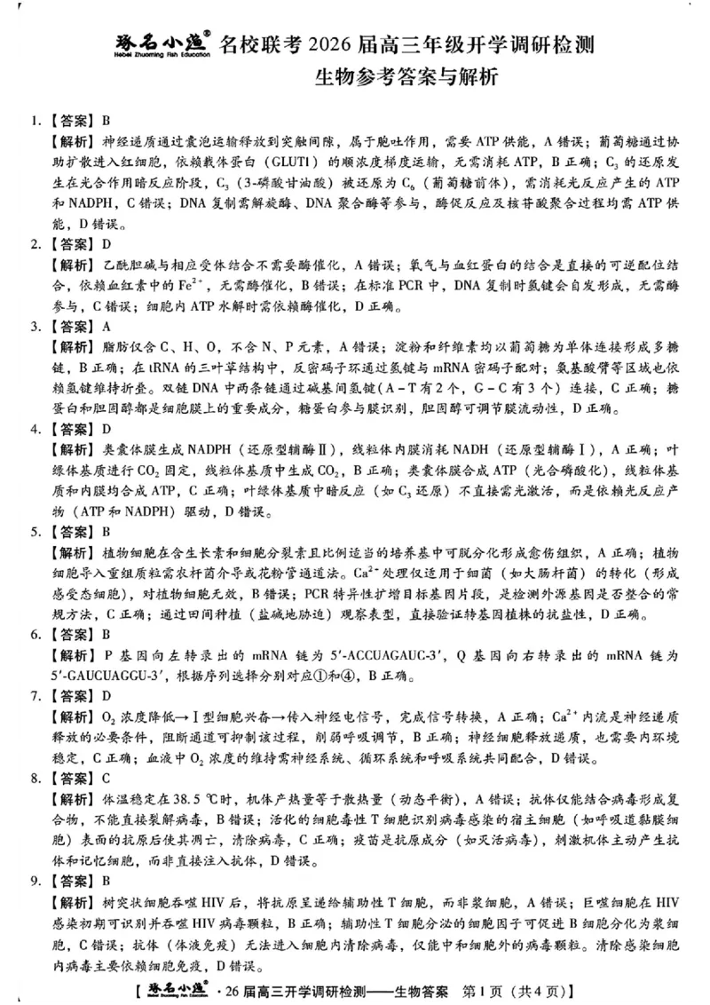 河北省琢名小渔名校联考2025-2026学年高三上学期开学调研检测生物试题（含答案）_2025年9月_250903河北省琢名小渔名校联考2025-2026学年高三上学期开学调研检测（全科）