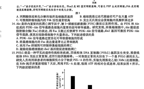 广东高三10月上进联考生物试卷_2025年10月_251011广东上进联考2025-2026学年领航高中联盟2026届高三10月一轮复习阶段检测（全科）