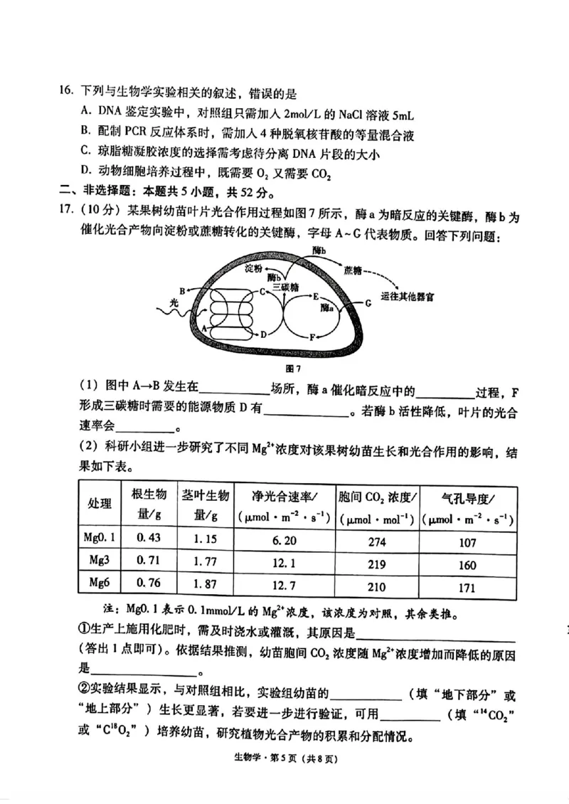 生物+西南名校联盟2025届3+3+3试卷及答案（四）_2025年5月_0522西南名校联盟2025届&ldquo;3+3+3&rdquo;高考备考诊断性联考（四）（全）