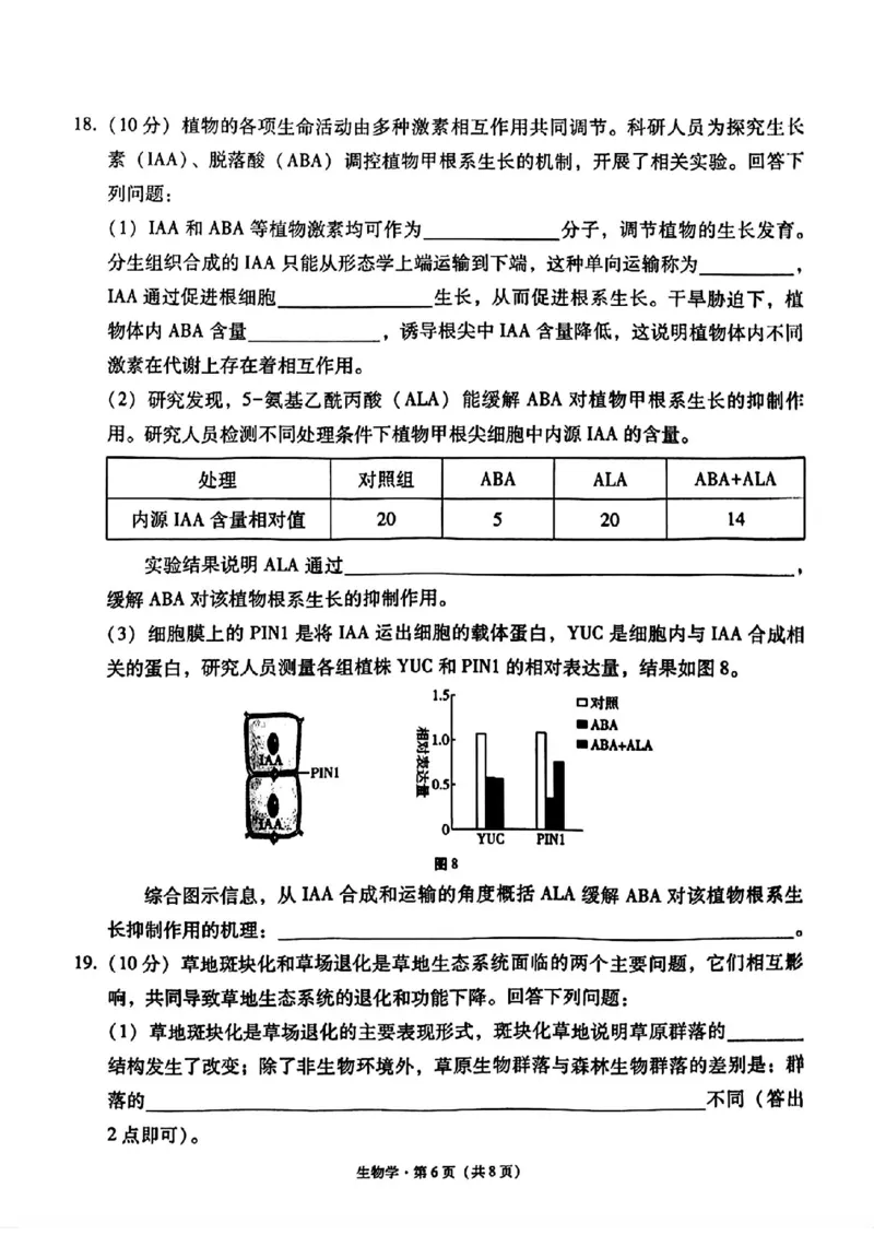 生物+西南名校联盟2025届3+3+3试卷及答案（四）_2025年5月_0522西南名校联盟2025届&ldquo;3+3+3&rdquo;高考备考诊断性联考（四）（全）