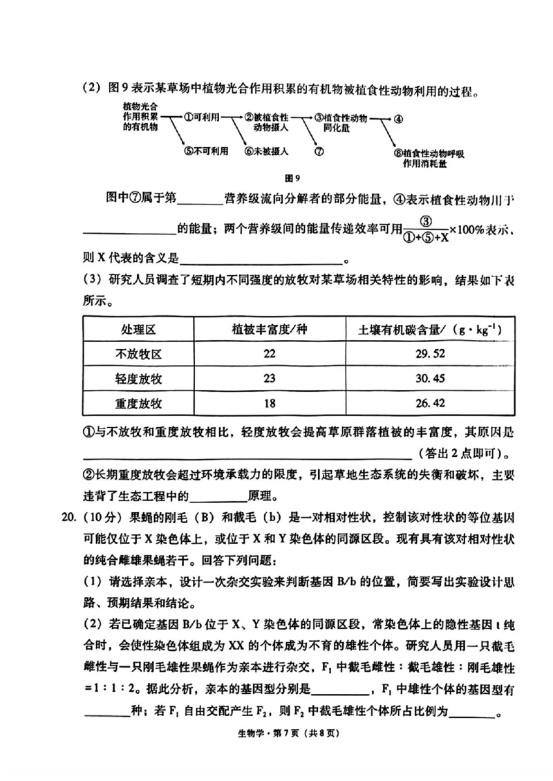 生物+西南名校联盟2025届3+3+3试卷及答案（四）_2025年5月_0522西南名校联盟2025届&ldquo;3+3+3&rdquo;高考备考诊断性联考（四）（全）