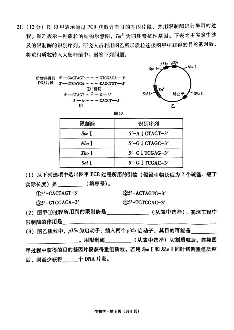 生物+西南名校联盟2025届3+3+3试卷及答案（四）_2025年5月_0522西南名校联盟2025届&ldquo;3+3+3&rdquo;高考备考诊断性联考（四）（全）